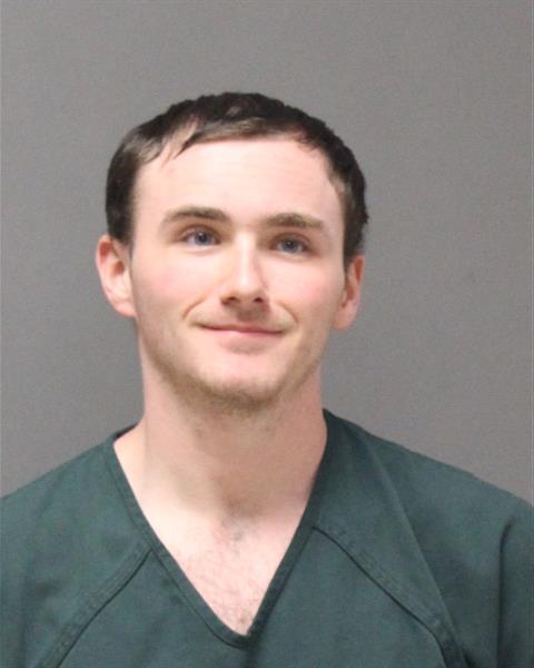 Mugshot of RYAN MAHONEY