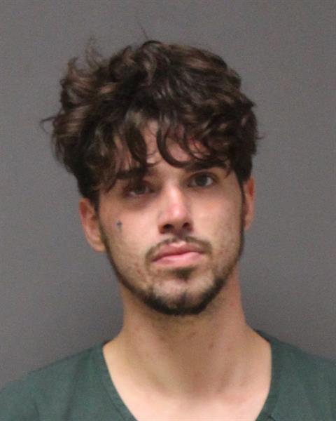 Mugshot of RYLY JAMES MCALLISTER