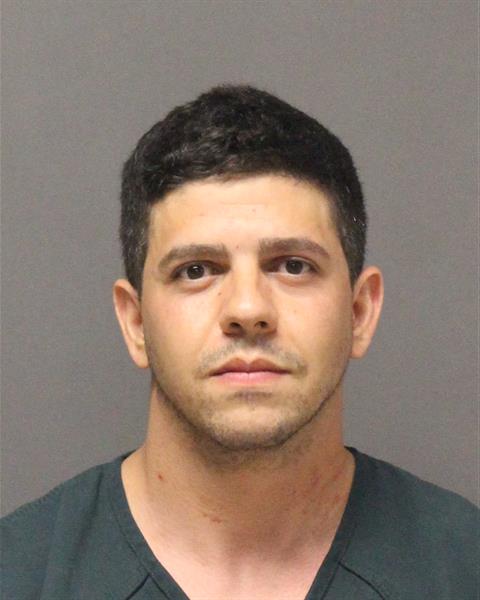 Mugshot of COSTA DIMTRIOS GEORGIOPOULOS