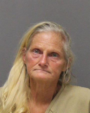 Mugshot of JERILYN MARGARET WILBERT