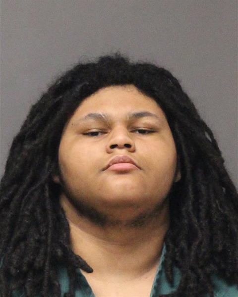 Mugshot of LOUIS BROWN