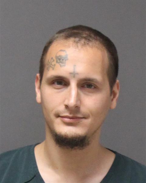 Mugshot of LOUIS ROBERT LIVESAY