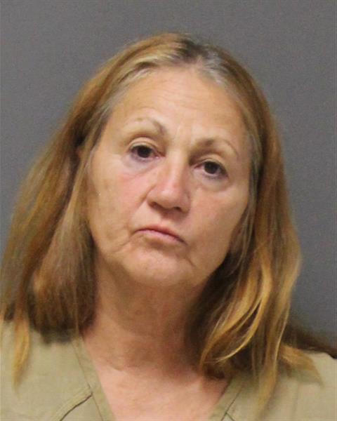 Mugshot of LISA ANN FICHTER