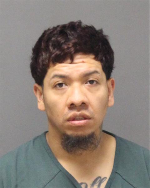 Mugshot of GUSTAVO LEANDRO CAMARGO