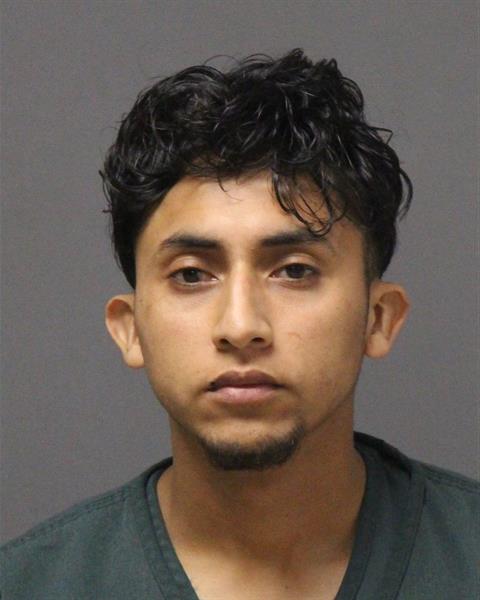 Mugshot of FALCONERI ALFARO-BALDEON