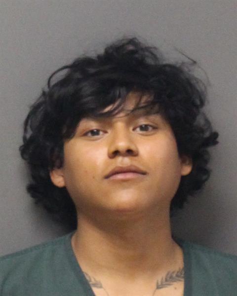 Mugshot of IRVIN GONZALEZ-URBANO