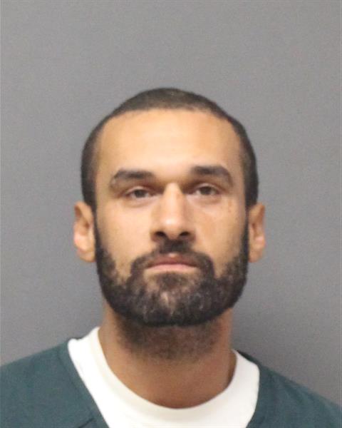 Mugshot of KARIM HESHAM ELDEIB