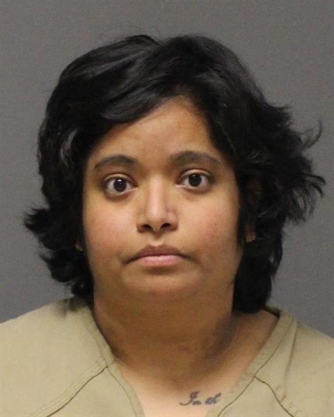 Mugshot of LISETTE NMN MATOS