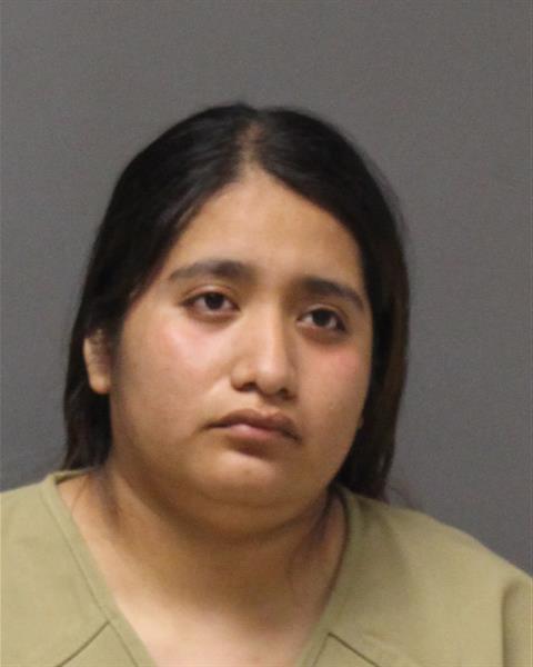 Mugshot of ARIADANA E LAZAROFLORES