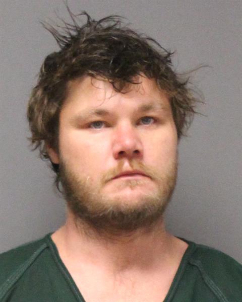 Mugshot of RYAN JOSEPH WERNICK