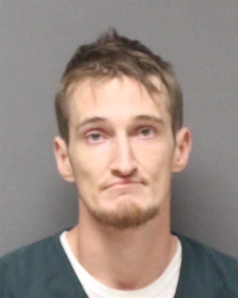 Mugshot of DAVID LUIS GOHEEN