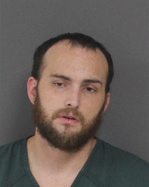 Mugshot of BRANDON STEPHEN NOVAK
