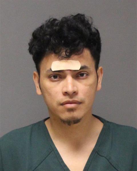 Mugshot of PEDRO JAVIER CACERES-GARCIA