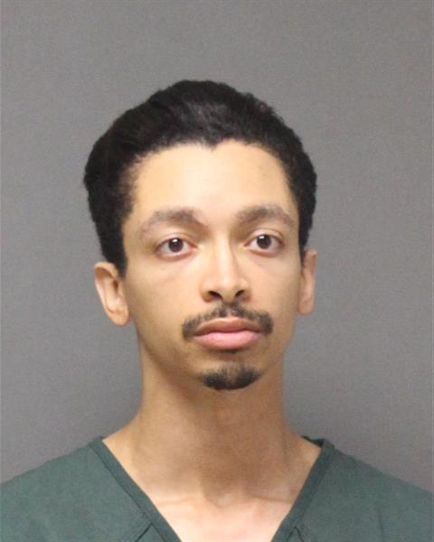 Mugshot of RONRENIER GAVIN