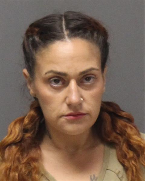 Mugshot of DANIELLE NICOLE SKRBIC