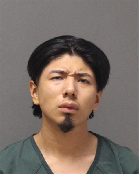 Mugshot of GIOVANI NMN ROJAS