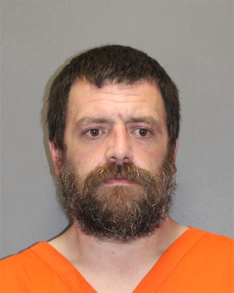 Mugshot of IAN J SYLVESTER