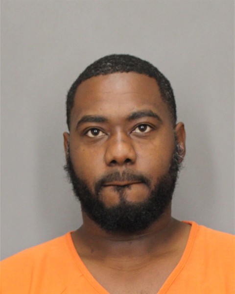Mugshot of LEPAUL E BYES