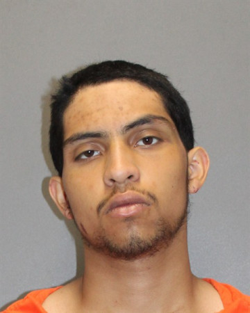 Mugshot of ALVARO L RIVERA