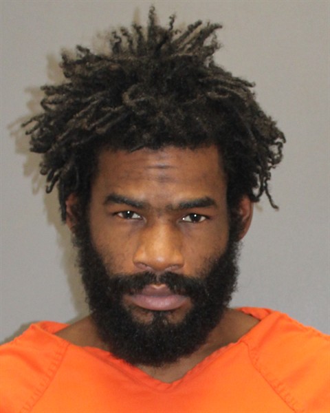 Mugshot of LEE R GILLIS