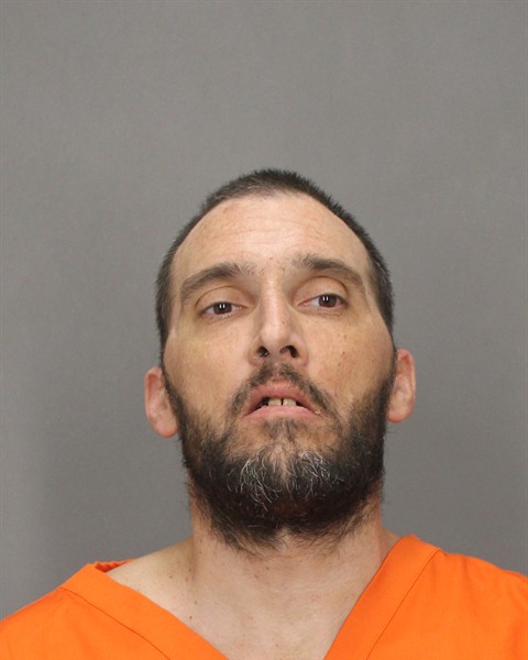 Mugshot of ERIC A LEMISKA