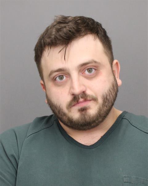 Mugshot of ANTHONY M DALESSANDRO