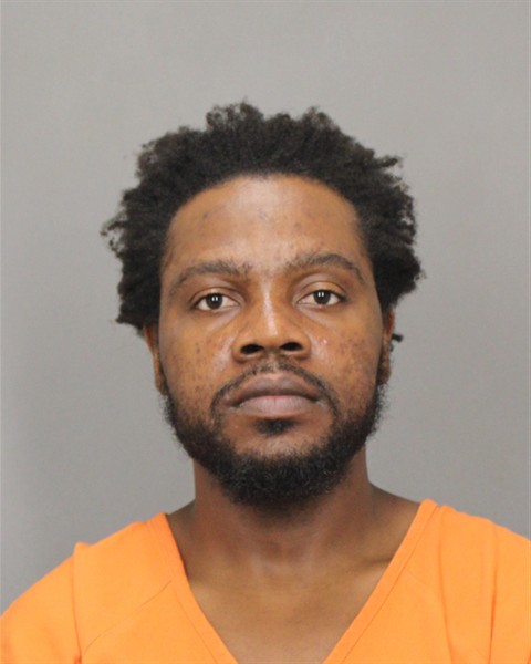 Mugshot of SONIEL BESSARD