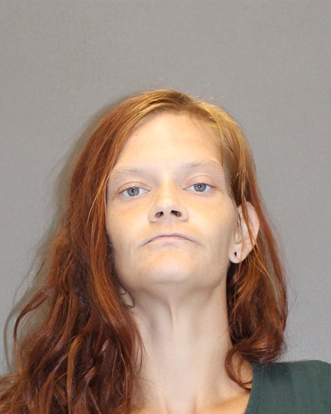 Mugshot of KERRILYNN M MCDONALD