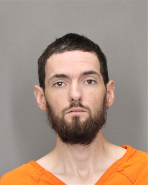 Mugshot of TYLER D PETRIK