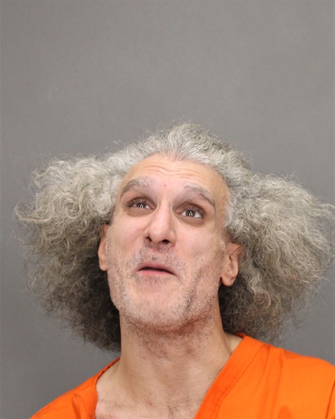 Mugshot of MICHAEL J PALMER