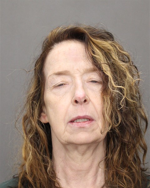 Mugshot of DONNA HILLER