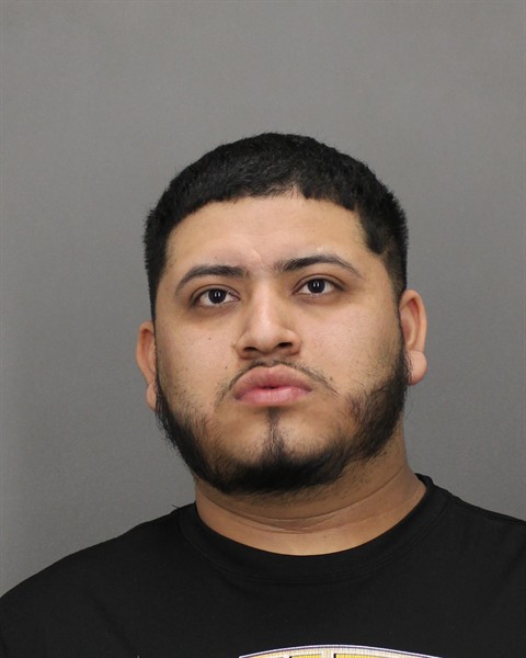Mugshot of BYRON D ORTIZ PAEZ