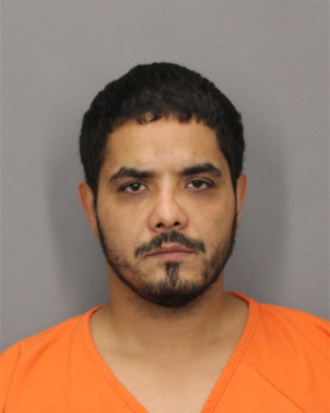 Mugshot of GILLIAN TORRES