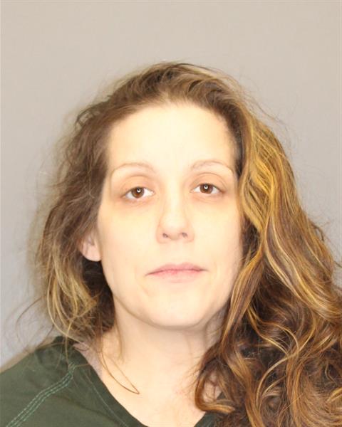 Mugshot of AMANDA A SCHOOLS
