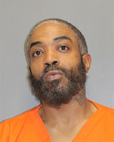 Mugshot of TERRY L WILSON