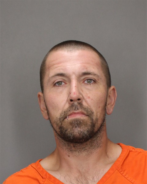 Mugshot of LARRY W NEWELL