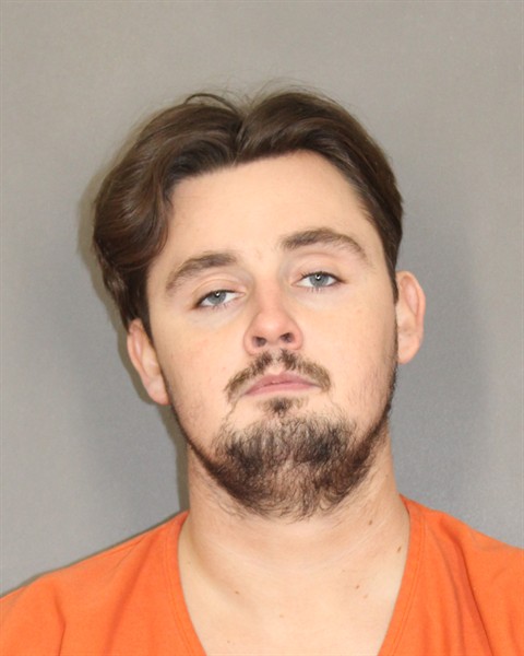 Mugshot of GEORGE LINARD