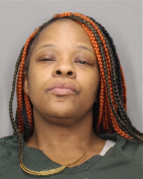 Mugshot of RASHEDA N DANIELS