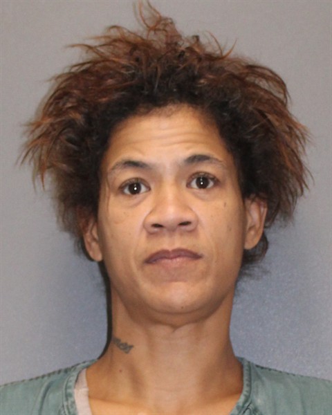 Mugshot of GINA N CARLSON