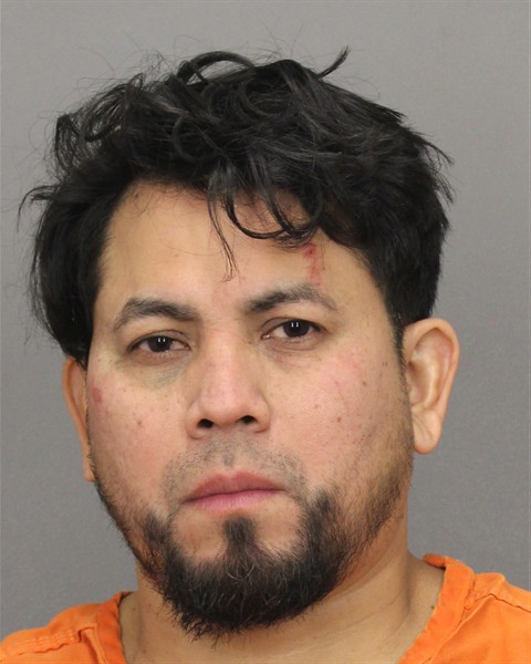 Mugshot of LESVIN LOPEZ LEMUS