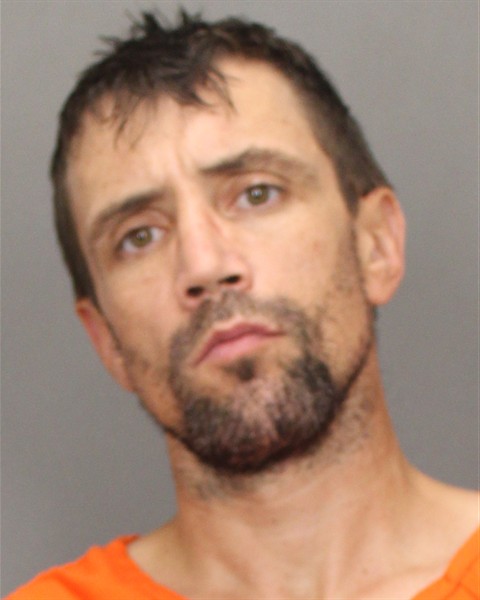 Mugshot of WILLIAM F BROWN