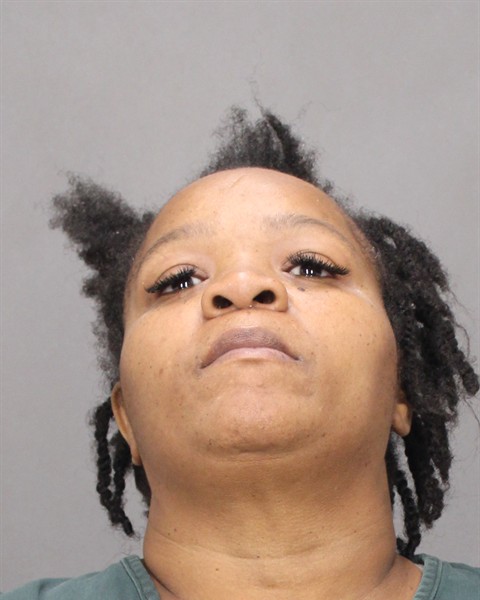 Mugshot of CHICANA L BROWN