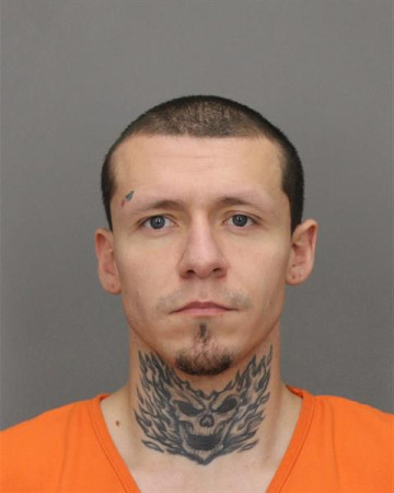 Mugshot of TYLER L SULLIVAN