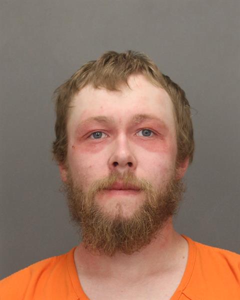 Mugshot of ZACHARY A LAHNEMAN