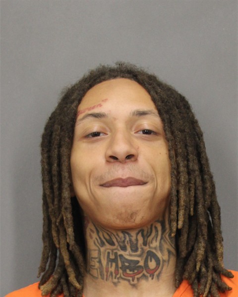 Mugshot of TRAN B ROOTS
