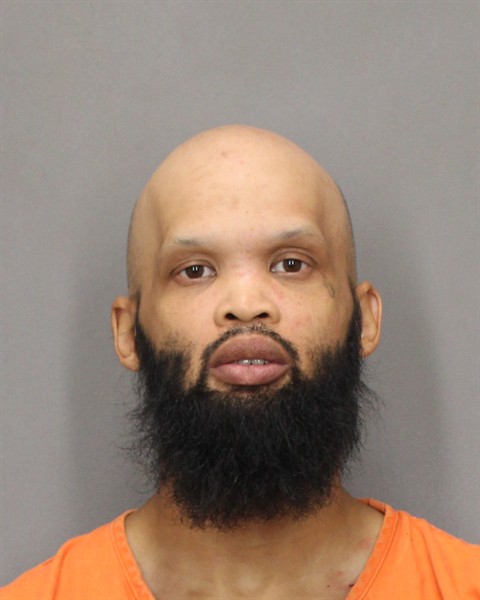 Mugshot of CHARLES E NELSON