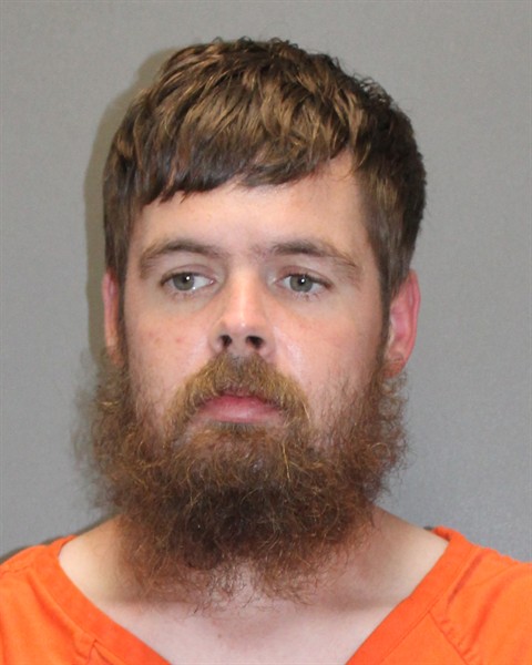 Mugshot of SEAN A BOWER