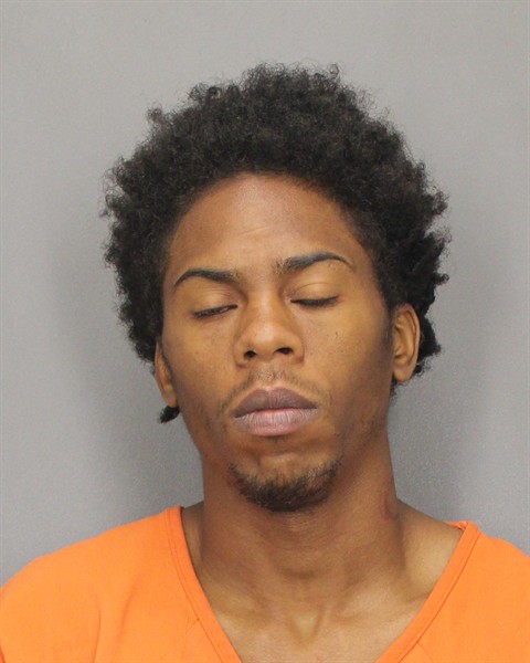 Mugshot of LEROY L MARTIN
