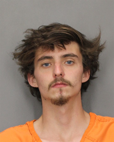 Mugshot of RICHARD E MITCHELL