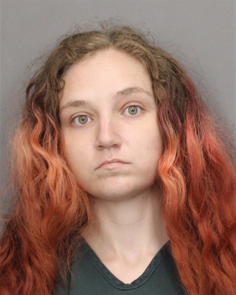 Mugshot of GABRIELLA N COLLINS